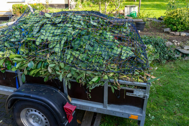 Best Dumpster Rental Services  in Ruhenstroth, NV